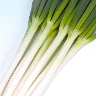 ڥ᡼ľ۲Ƥڥߤɡۥ6000γ