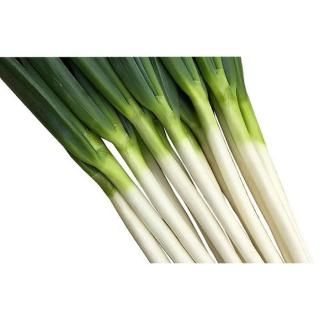 ڥ᡼ľζΤܤڲͿڡ 1dl