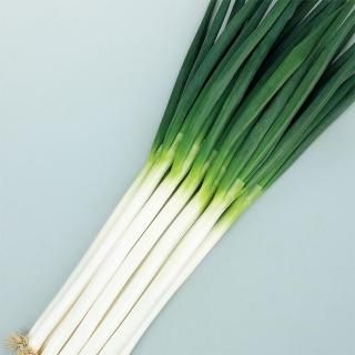 ڥ᡼ľ𥷥ڥΥ͡  1dl