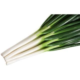 ڥ᡼ľ۸ڥͥġ  6000γ