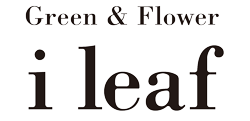 ɤβֲiLeaf-꡼