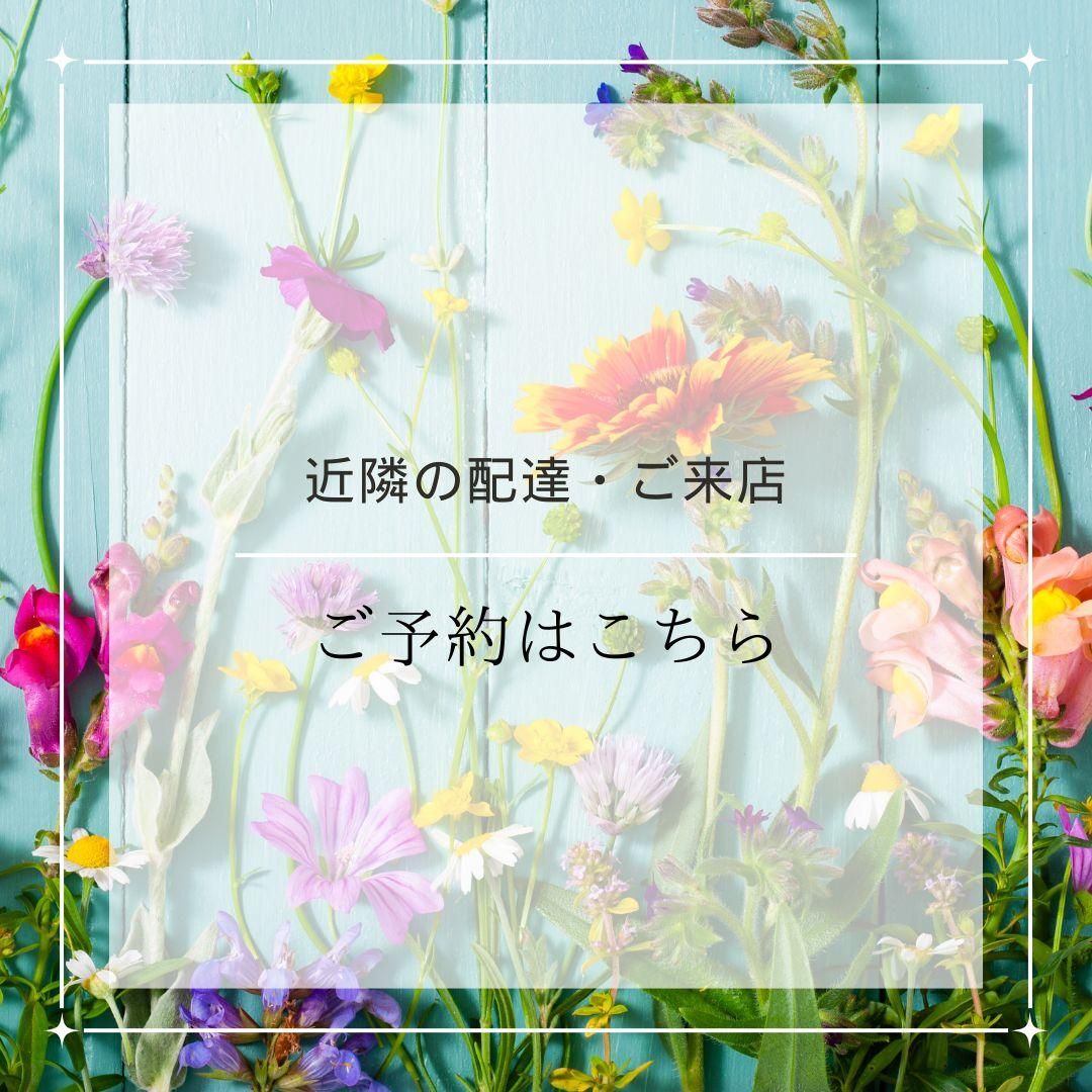 ŹͽϤ
