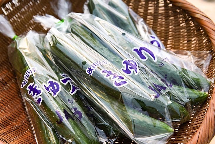 予約商品】JAうご産 良品きゅうり(4本×3P) - JAうごオンライン 予約商品】JAうご産 良品きゅうり(4本×3P) - JAうごオンライン