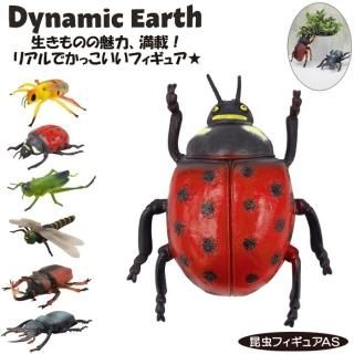   ե奢 ϥ Хå ֥ȥॷ 塞 ȥ ƥȥॷ Dynamic Earth AS 11117 ե  ʪ ꥢ ä ˤλ å Ҷ 