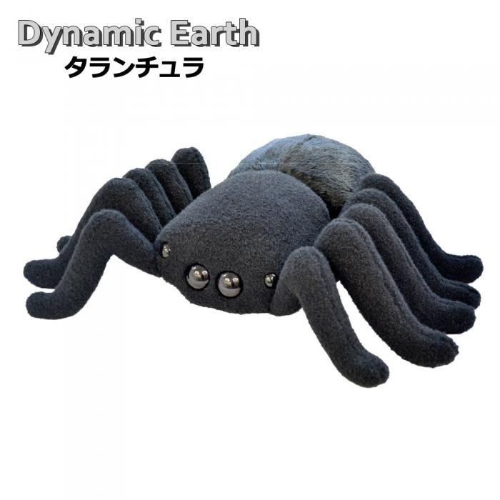Dynamic Earth BIG ぬいぐるみ タランチュラ 2体セットの通販 by