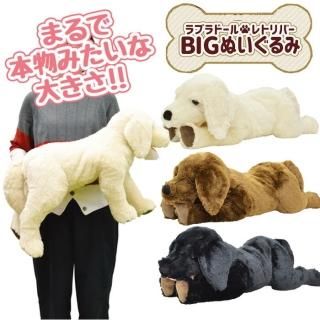  ̤ 礭 BIG̤ ֥ɡ ȥС BP   緿 襤  å å ˤλ λ Ҷ ưʪ  ץ쥼 ץ쥼 