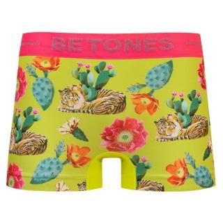 BETONES ӥȡ ܥѥ    ե꡼ 쥹 CACTI TIGER SKULL ORCHID ɼ   ץ쥼 ե ץե 