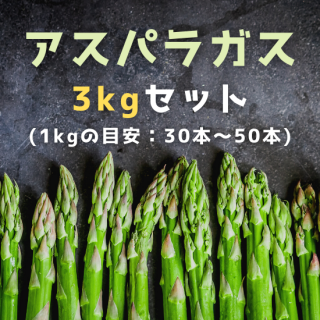 ̵ͽۥѥ饬֥饹Ρ֥3ԥå