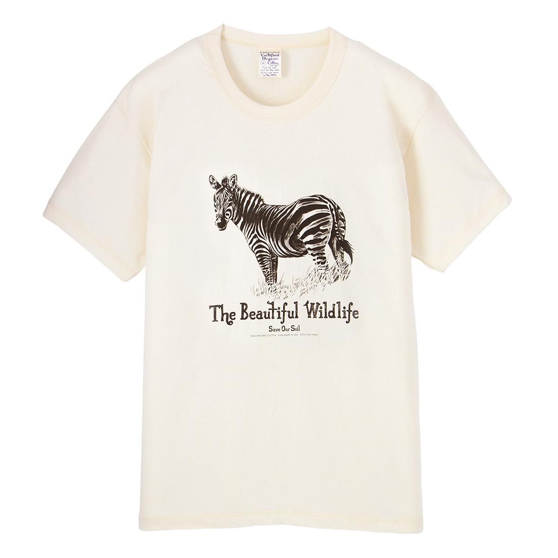 LINDA TILSON 魚イラスト Tシャツ L コットン100％　USA オーガニックコットン アニマルプリント Tシャツ シマウマ