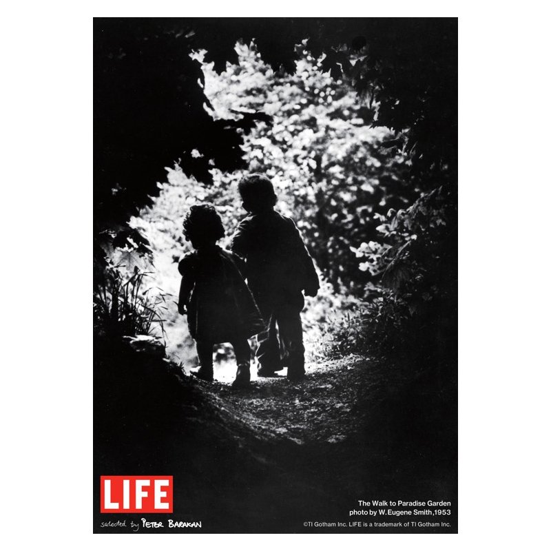 LIFE selected by PETER BARAKAN 