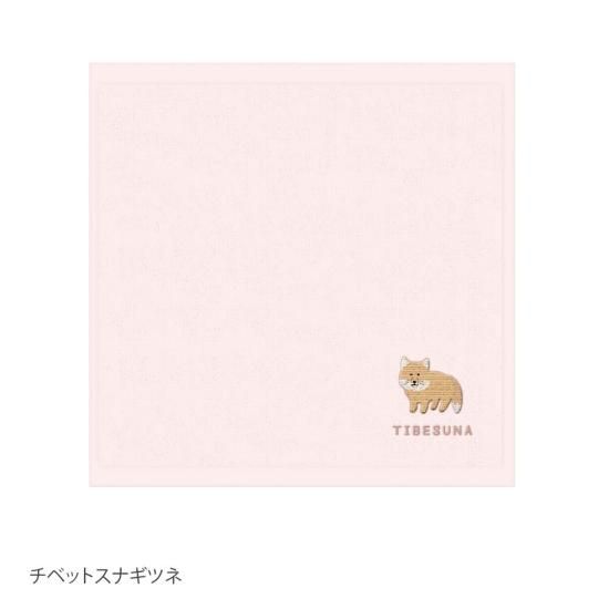 ネコポス対応】レアアニマル タオルハンカチ - クーリア・オンライン