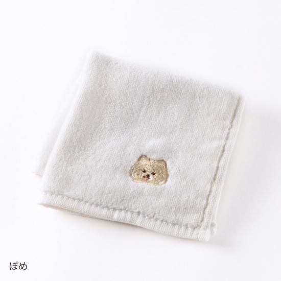 ネコポス対応】モフット タオルハンカチ（ぽめ） - クーリア