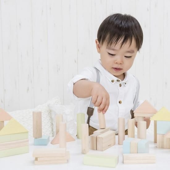 Amazon | プラントイ(PLANTOYS) ユニットブロック40 パステル
