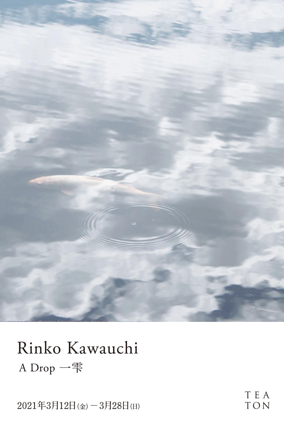 21年3月12日 金 3月28日 日 Rinko Kawauchi 川内倫子 A Drop 一雫 At Teaton