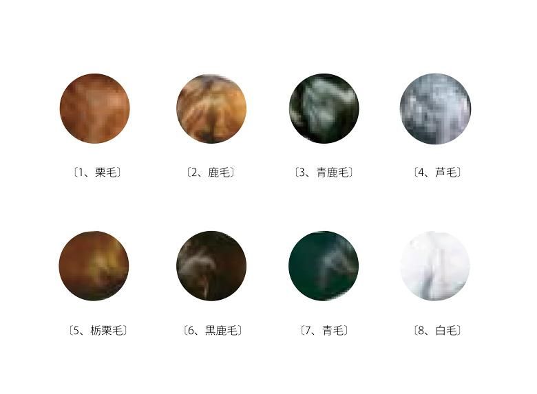 毛色の画像