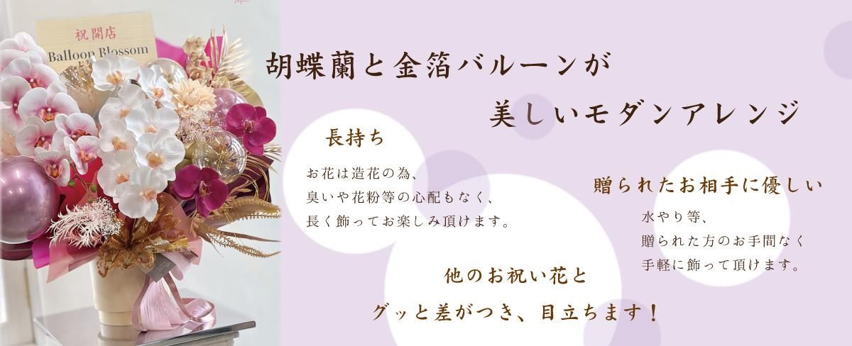 胡蝶蘭ギフト