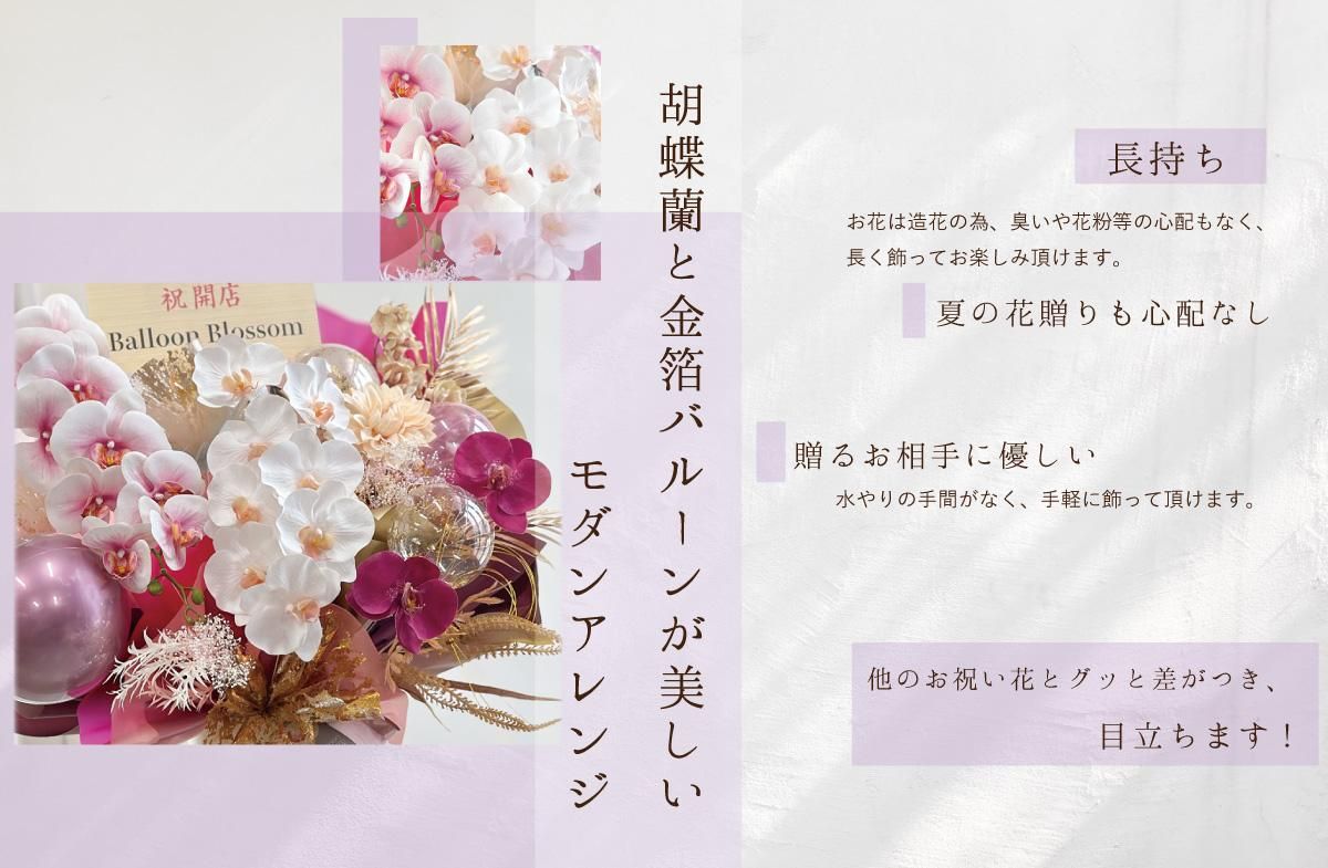 胡蝶蘭ギフト