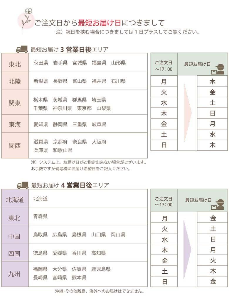 おしゃれなアネモネシスターズ〈アンティークパープル おしゃれなアネモネシスターズ〈アンティークパープル