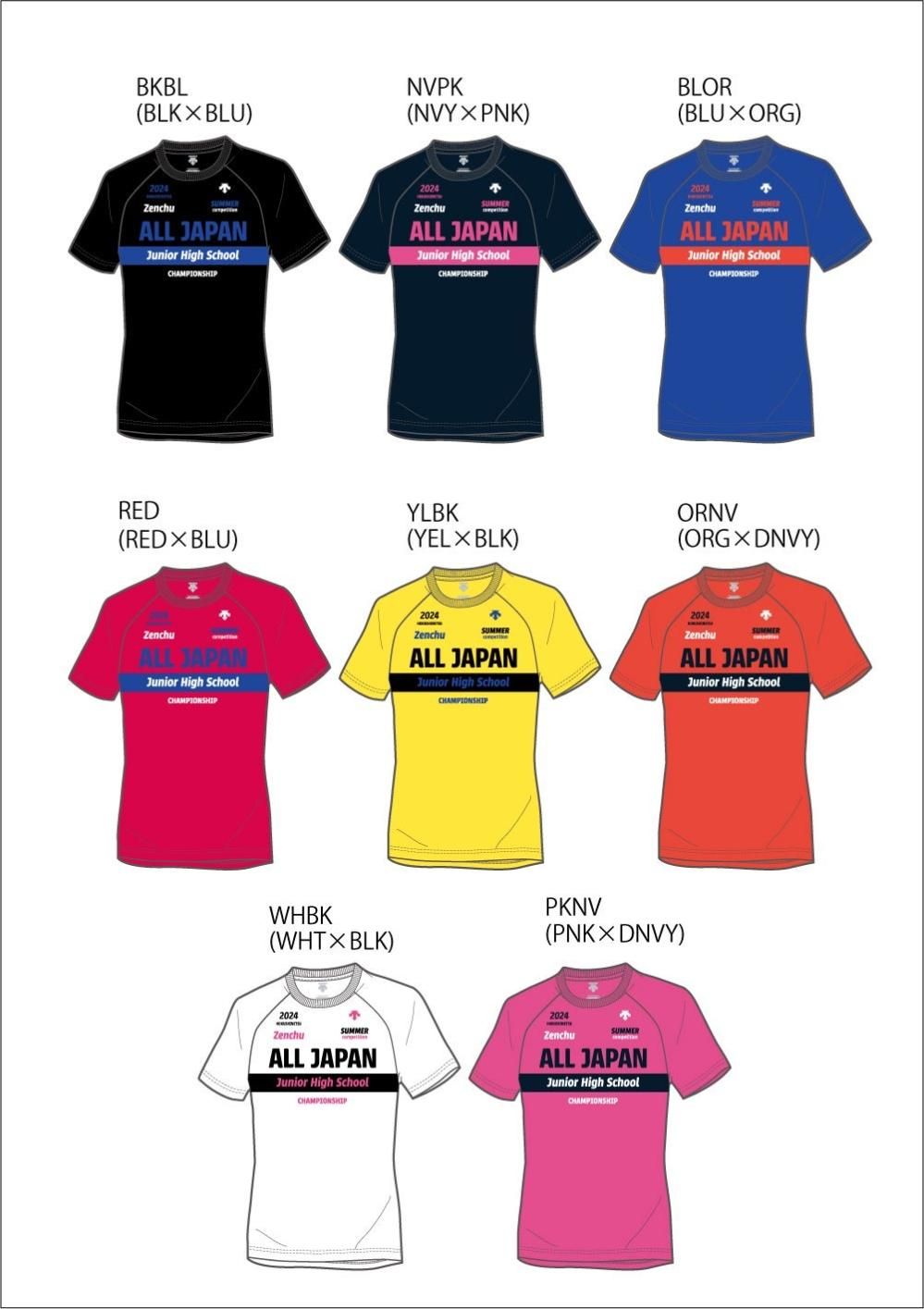 ALLJAPAN DESCENTE限定Tシャツ DESCENTE DX-B1410 L ワインレッド T