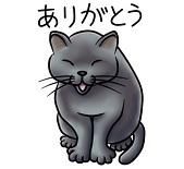 ***¥1957***