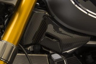 カーボン フレームステアリングヘッドサイドカバー セット for Kawasaki Z900RS
