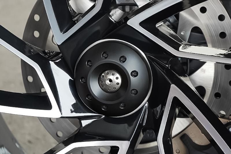 アクスルスライダー with チタニウム リア for Ducati Diavel V4