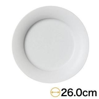 キュイジーヌ ストーンマットスィングプレートM 約26cm 白系 洋食器 丸型プレート 25cm以上 日本製 美濃焼 業務用 おしゃれ モダン g-1928-05