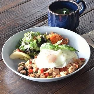 奤 졼ޥåȥL 23cm 졼 ο ݷܡ 15cm25cm  ̳ g-2211-02