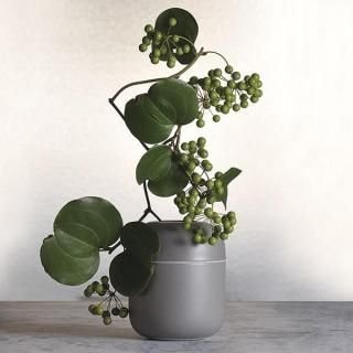 yosooiե١졼 10cm 졼 ƥꥢ   ǻ ̳ g-2348-12