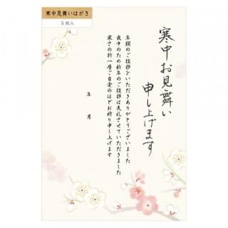 渫񤤤Ϥ