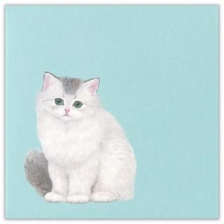 ݤޡͣƥ