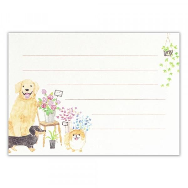 ミニレター わんころび 花屋 - エヌビー社 OFFICIAL ONLINE SHOP ミニレター わんころび 花屋 - エヌビー社 OFFICIAL ONLINE SHOP