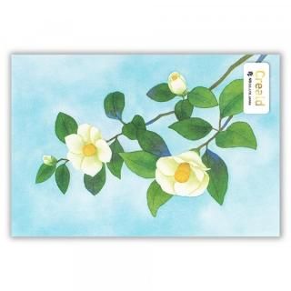ひまわり 新堂春雲作品 24✖️27手書き