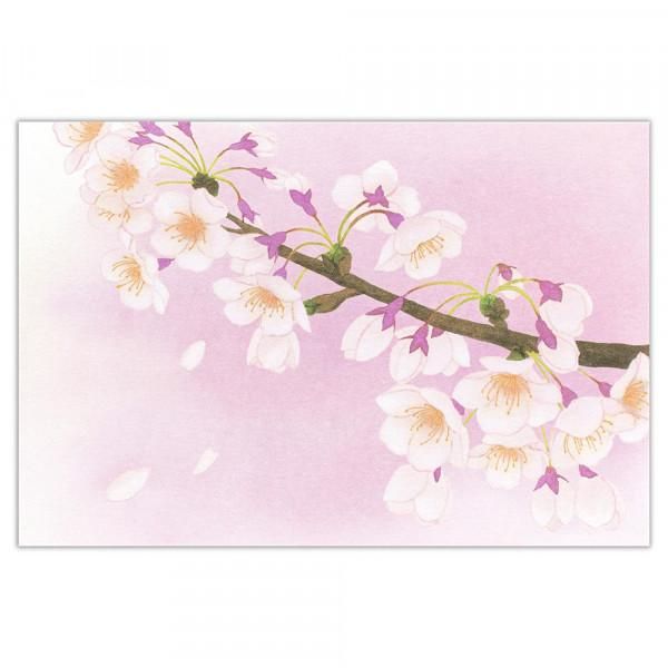 河津桜」透明水彩画 原画 風景画 額縁付 A4サイズ 絵画 Oni 通販