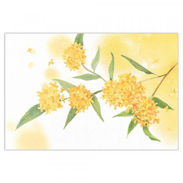 きんもくせいページ 金木犀の用途選べるポストカード4枚 | Wach Works