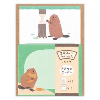 ꡡ।󥢥˥ޥ롡ӡС