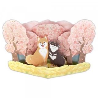 ΩΥɡ¿Ū餷