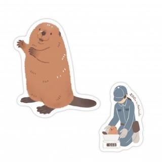 <img class='new_mark_img1' src='https://img.shop-pro.jp/img/new/icons33.gif' style='border:none;display:inline;margin:0px;padding:0px;width:auto;' />ƥå।󥢥˥ޥ롡ӡС