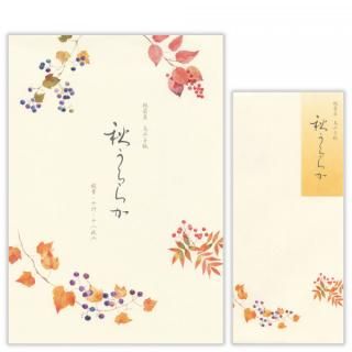 ޽餫A䵡å