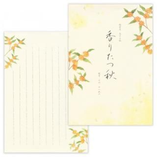 䵡޽ꤿĽA