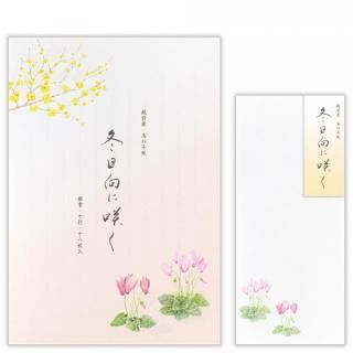 ߸޽˺餯䵡å