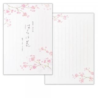 ��䵡��ո޽����Ϥ�ϲ֣�B