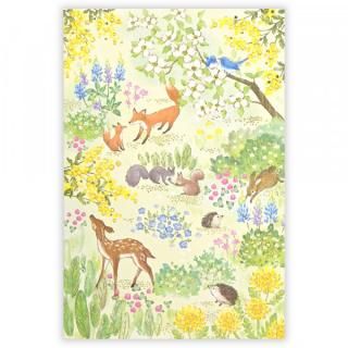 �ݥ��ȥ����ɡ��󡡥ե�塼���