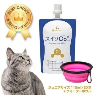 H4O 水素水 ペットウォーター 60本 +20本増量セット H4O ペットウォーター 60本 +20本 水素水【こちらのセットは予告