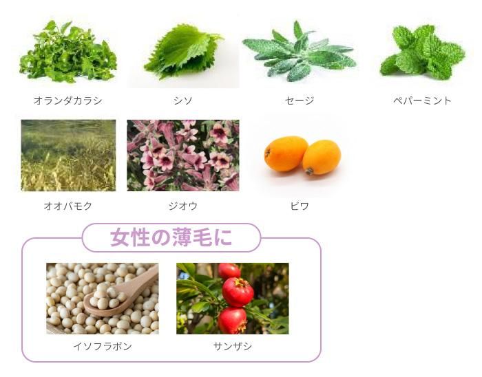 自然1