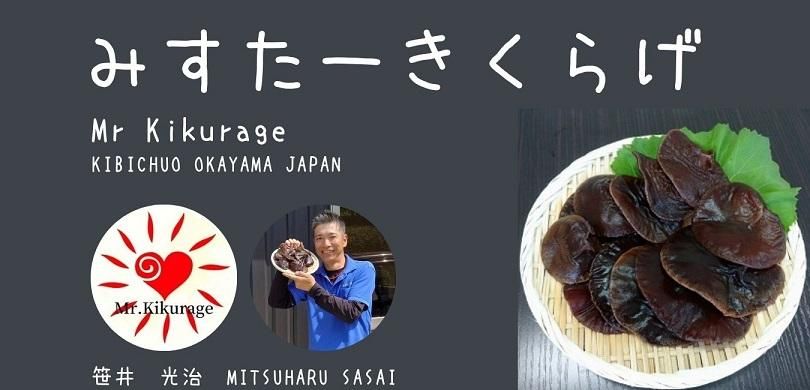 ߤ餲