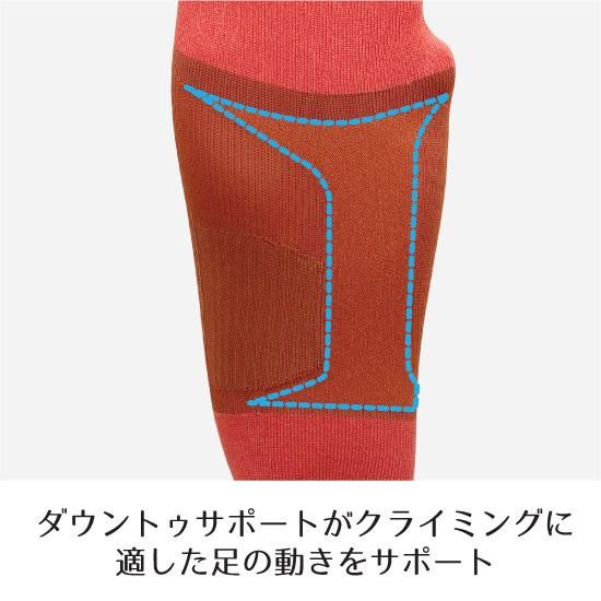FXC037 3D SOX クライミング ゲッコー - コーマオンラインショップ