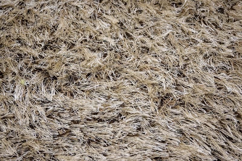 アクタス　ラグ　タンゴⅡ モデルルーム展示品 ACTUS（アクタス） TANGOⅡ（タンゴⅡ