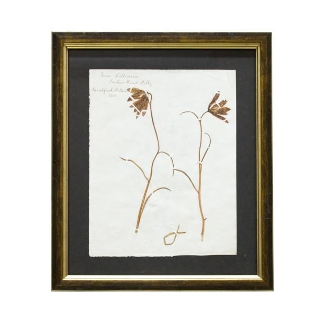 アート - AIRSIDE - エアサイド | ONLINE SHOP