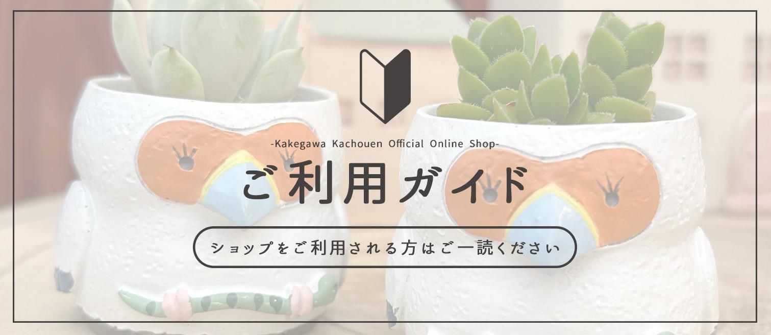 特定商取引法に基づく表記 - 掛川花鳥園公式通販サイト FBPshop